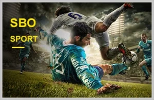 xking Sports